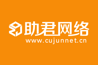 2025年国内十家优秀网站建设公司全新排名 聚焦标杆服务商与上海网页开发